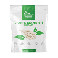 Lion's Mane Extrakt 500 mg 90 kapslar
