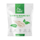 Lion's Mane Extrakt 500 mg 90 kapslar